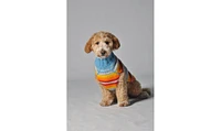 Chilly Dog Turq Serape