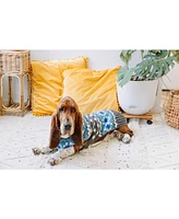 Chilly Dog Light Blue Fairisle