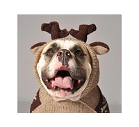 Chilly Dog Moosey Hoodie Dog Sweater