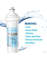 Apec Water Systems Replacement Filter for Cs-2500 Water Filtration System