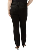 Jag Plus Ruby Mid Rise Straight Leg Jeans