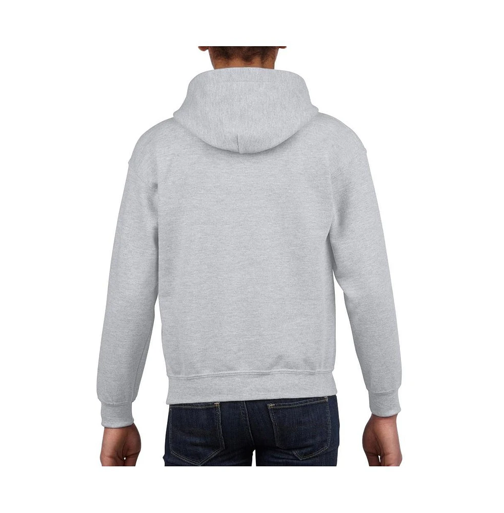 Dc Comics Boys Youth Money Pull Over Hoodie / Hooded Sweatshirt