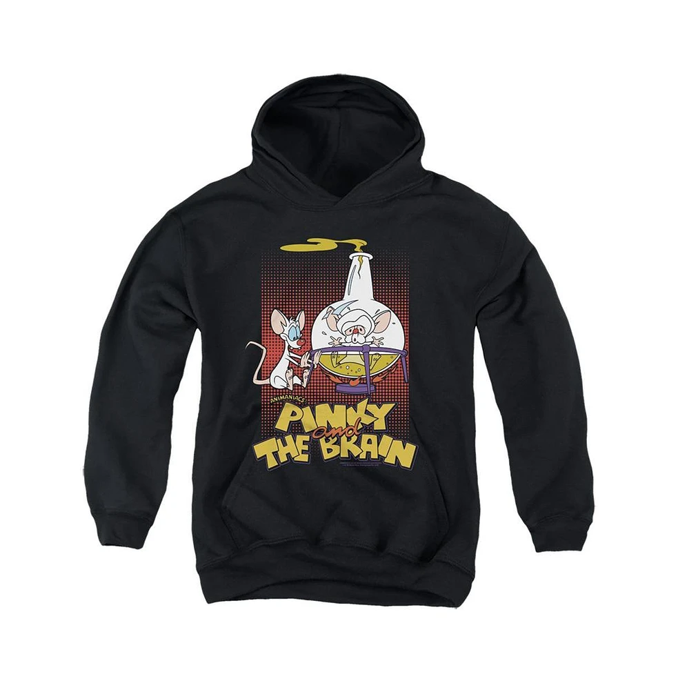 Pinky And The Brain Boys Youth Lab Flask Pull Over Hoodie / Hooded Sweatshirt