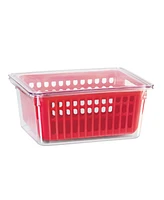 Oggi 8.75" x 6.75" x 3.75" Berry Container for Fridge