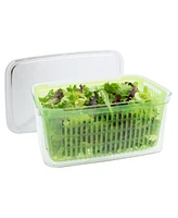 Oggi Store Fresh 12.25" x 8" x 6" Veggie Bin