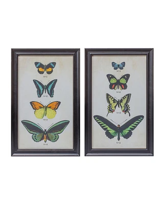 Slickblue Framed Encyclopedia Butterfly Print Under Glass (Set of 2)