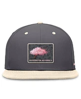 Nike Men's Graphite/Natural Washington Nationals City Connect True Fitted Hat