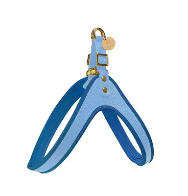 PoisePup Pet Dog Step-in Harness - Ocean Vibes