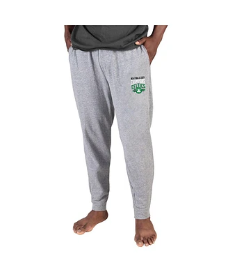 Concepts Sport Men's Gray Boston Celtics 2024 Nba Finals Champions Mainstream Cuffed Terry Pants