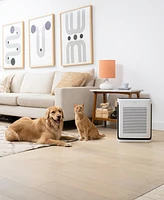 Levoit Vital 200S Smart Air Purifier