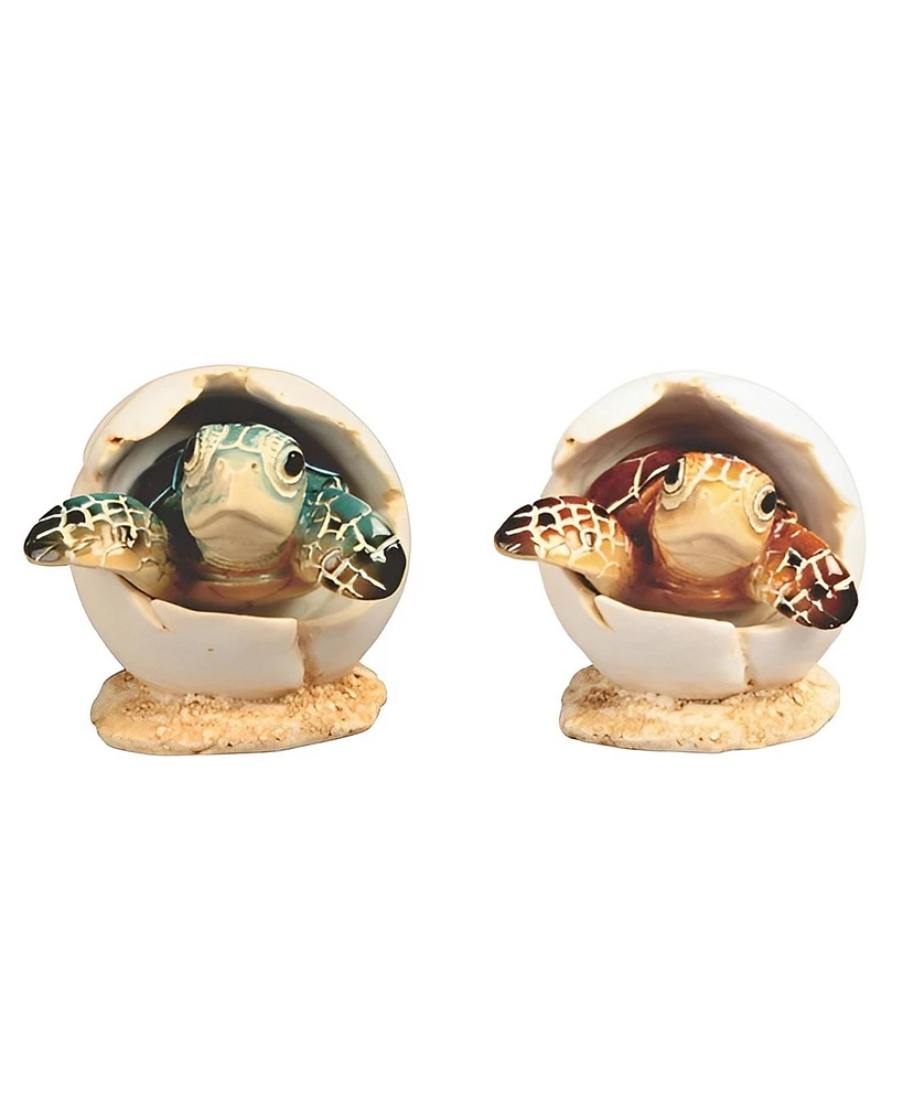 Fc Design 3"H Brown and Blue Sea Turtle in Egg 2 Pc Set Figurine Decoration Home Decor Perfect Gift for House Warming, Holidays and Birthdays