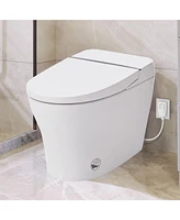 Mondawe 1/1.28 Gpf Heated Seat Tankless Smart Toilet with Foot Sensor Flush and White Night Light