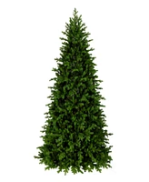 National Tree Company Princeton Fraser Fir Tree, 7.5 feet.