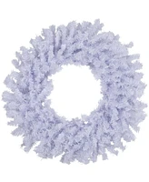 Northlight 24" White Crystal Spruce Artificial Christmas Wreath