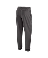 Nike Men's Gray Minnesota Twins Authentic Collection Travel Player Performance Pants