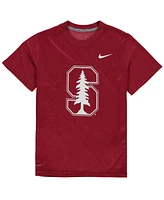 Nike Big Boys and Girls Stanford Cardinal Logo Legend Performance T-Shirt