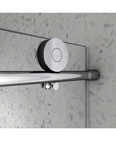 Frameless Shower Door with Adjustable Soft-Close, 5/16" Tempered Glass