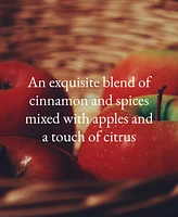 Cinnamon Cider Mini Reed Diffuser