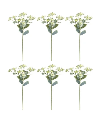 Slickblue Vibrant Euphorbia Spray for Floral Arrangements and Home Decor (Set of 6)