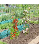 Givimo 2-Pack Garden Trellis Tomato Cage with Adjustable Height