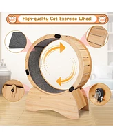 Streamdale Furniture Cat Exercise Wheel