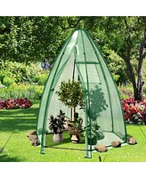 Skonyon 5.5 x 5.5 x 6 Feet Portable Mini Greenhouse with All-Weather Pe Cover