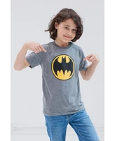 Justice League Toddler Boys Dc Comics Batman Superman The Flash 3 Pack T-Shirts