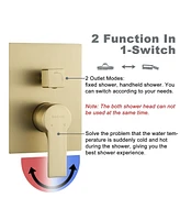 Boyel Living 1-Spray Patterns with 2.5 Gpm in. Ceiling Mount Dual Shower Heads with Pressure Balance Valve