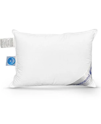 Continental Bedding Toddler Pillow Polyester 100% Cotton Shell 13x18 Inch