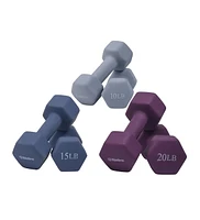 Bintiva Neoprene Dumbbells - Earth Tones 10lb, 15lb, 20lb Pairs