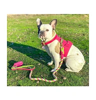 PoisePup Pet Dog Harness