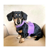 PoisePup Pet Dog Harness