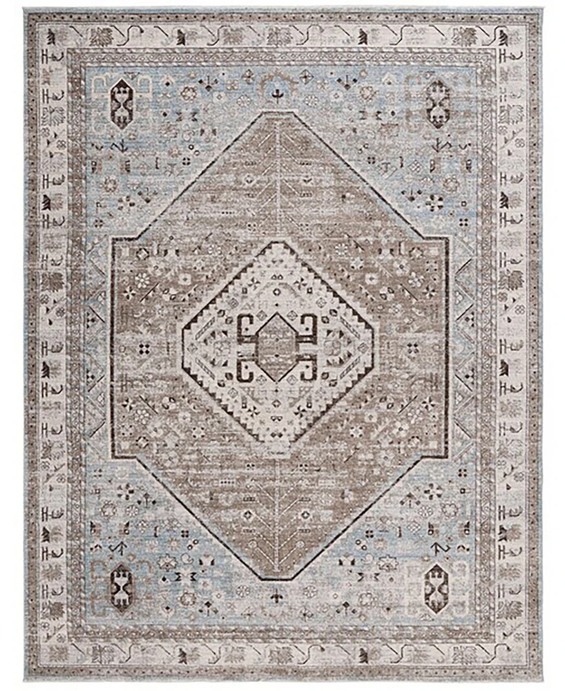 Safavieh Antique Patina ANP646M 9'x11'6" Area Rug