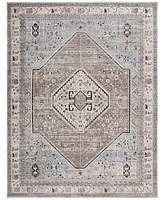 Safavieh Antique Patina ANP646M 9'x11'6" Area Rug