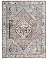 Safavieh Antique Patina Anp646m Rug Collection