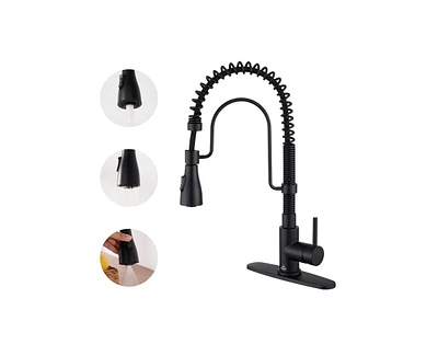 Casainc 1.8 Gpm Spring Neck Pull Down Kitchen Faucet with Deck Plate