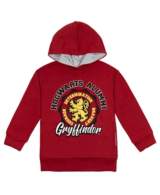 Harry Potter Boys Gryffindor Slyttherin Ravenclaw Hufflepuff Fleece Pullover Hoodie to