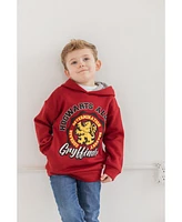 Harry Potter Boys Gryffindor Slyttherin Ravenclaw Hufflepuff Fleece Pullover Hoodie to