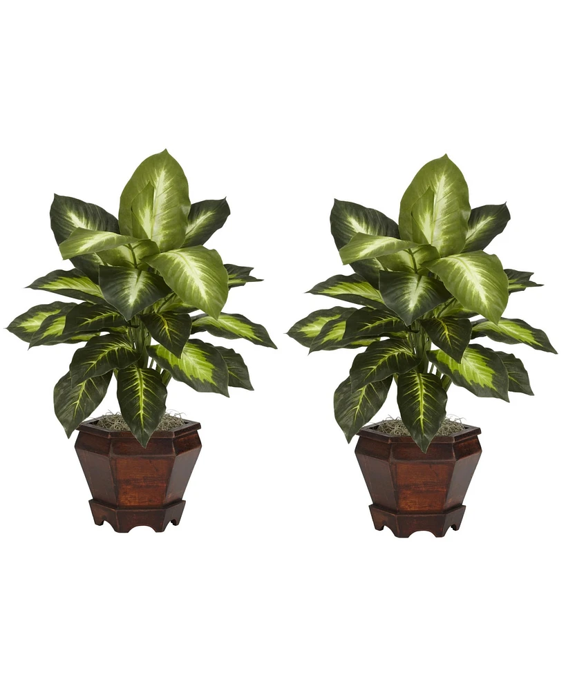 Slickblue Silk Golden Dieffenbachia Plant in Wood Vase for Natural Home Decor (Set of 2)