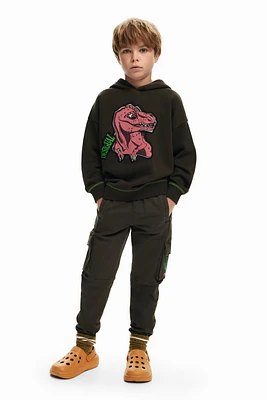 Desigual Boys's Dinosaur sweatshirt