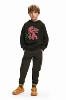 Desigual Boys's Dinosaur sweatshirt