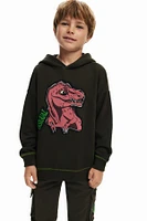 Desigual Boys Boys's Dinosaur sweatshirt