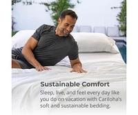 Cariloha Classic 2-Piece Twill Pillowcase Set | Tahitian Breeze | King | Viscose Material | Allergy Resistant, Thermal-Regulating & Extra soft