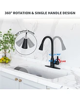 Casainc Mordern Pull Down Sprayer Kitchen Faucet with Deck Plate