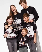 Holiday Lane Skiing Graphic Matching Family Sweaters