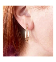 The Lovery Gold Oval Hoop Earrings 14K Gold