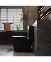 1.1 Gpf Dual-Flush Toilet with Soft Close Seat and Matte Black Finish