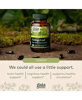 Gaia Herbs Ginkgo Leaf - Traditionally Used to Support Healthy Circulation and Brain Function - Organic, Herbal Supplement - 60 Liquid Phyto