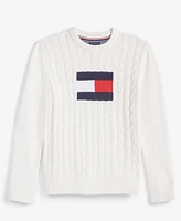 Tommy Hilfiger Toddler and Little Boys Flag Crew Sweater