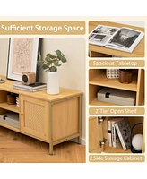 Skonyon Boho Tv Stand for Tv up to 55 Inches with Faux Rattan Door-Natural